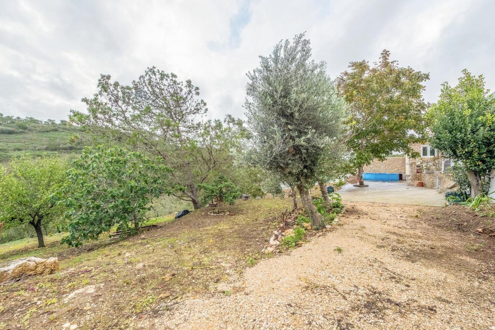 Countryside Paradise In Bucelas Exterior photo